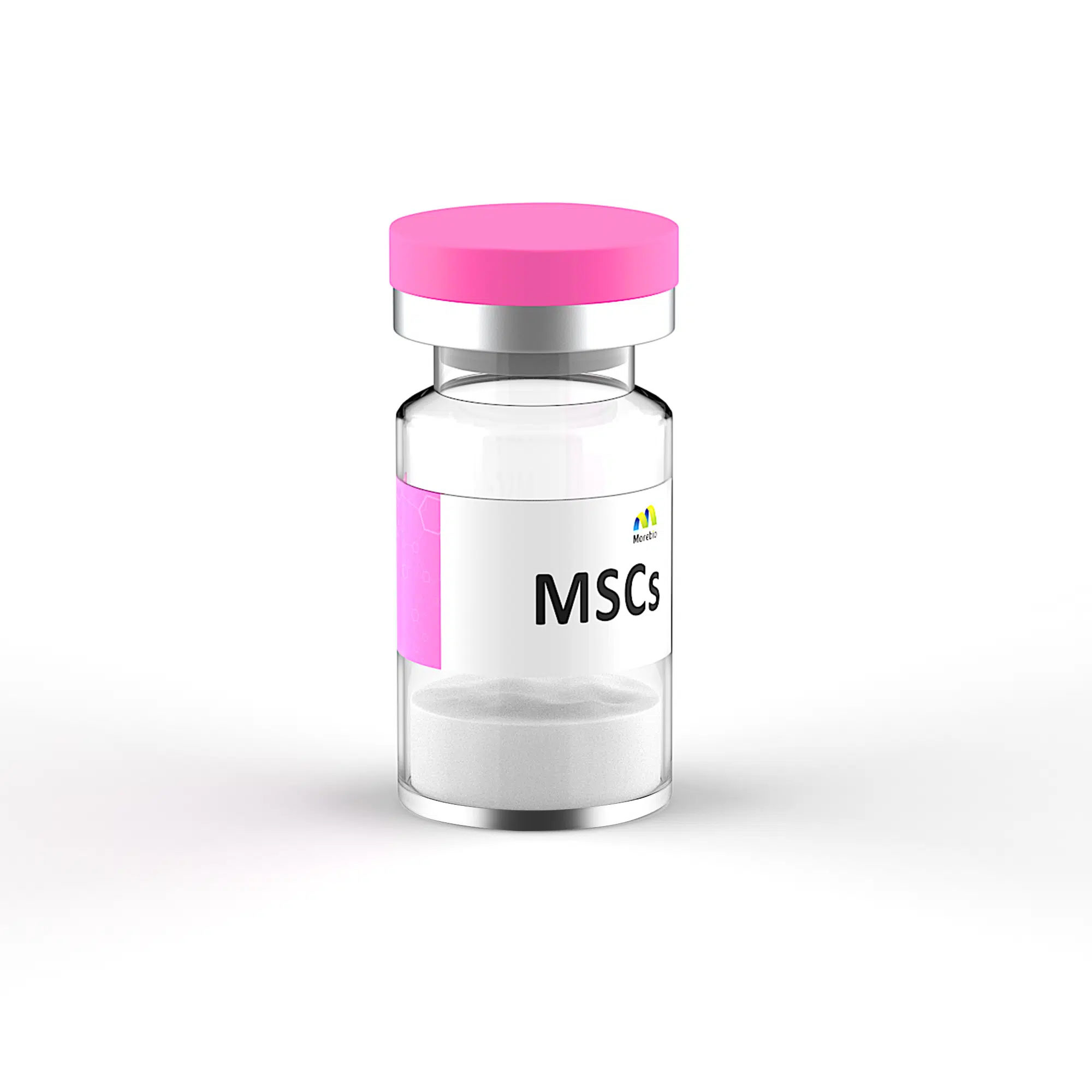Mesenchymal Stem Cells