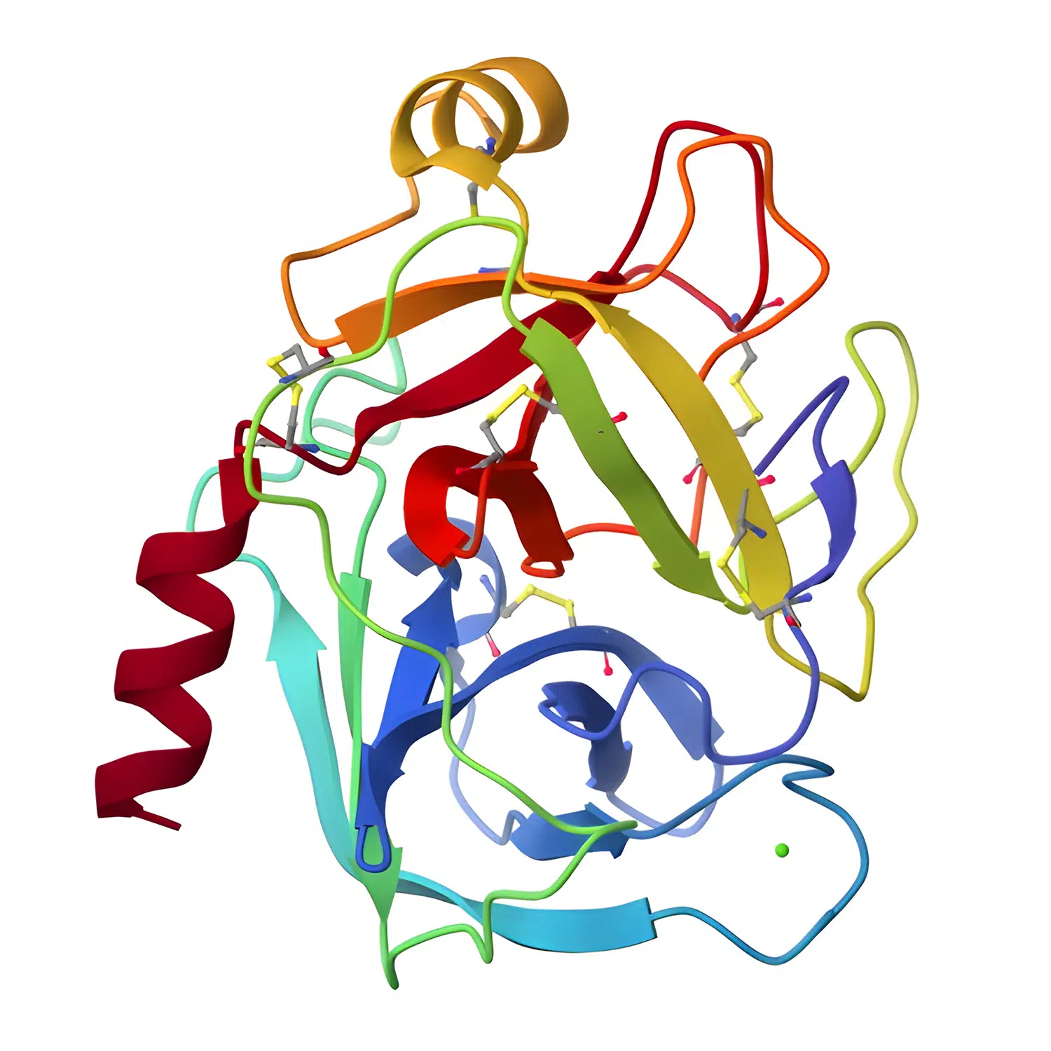 Trypsin