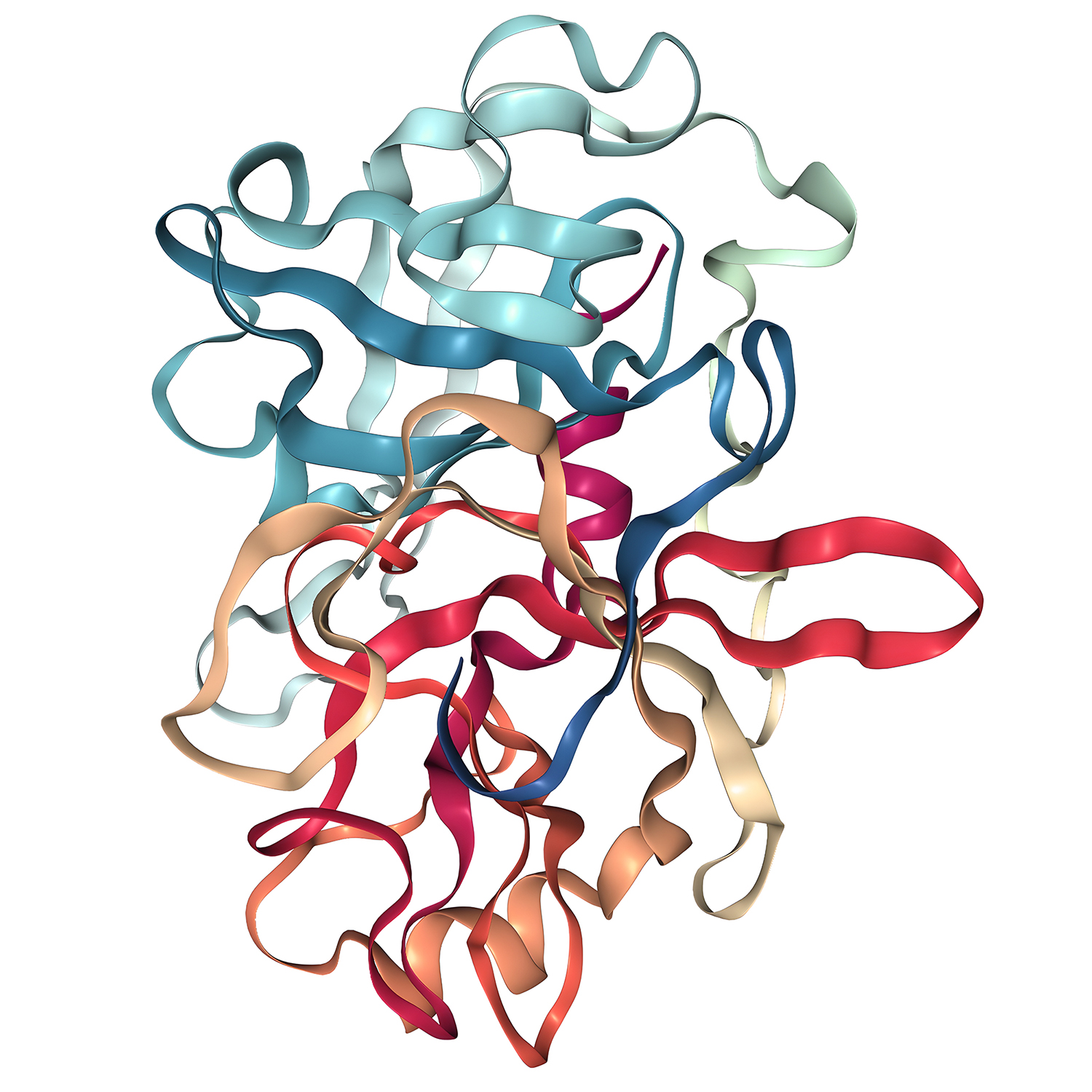 Enterokinase