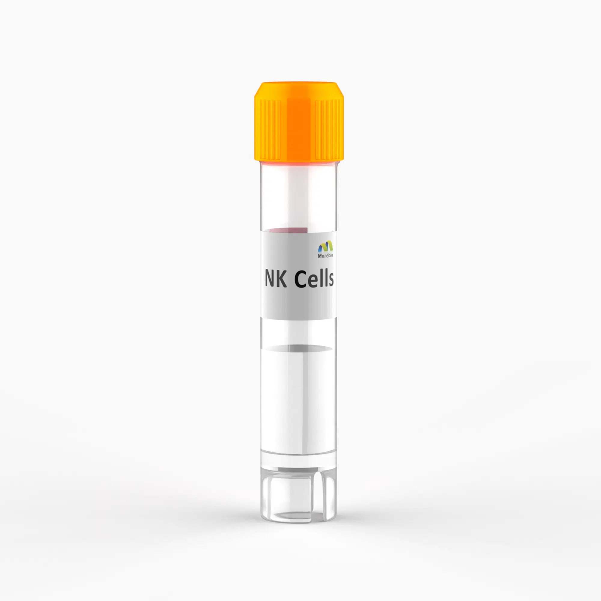 Natural Killer Cells