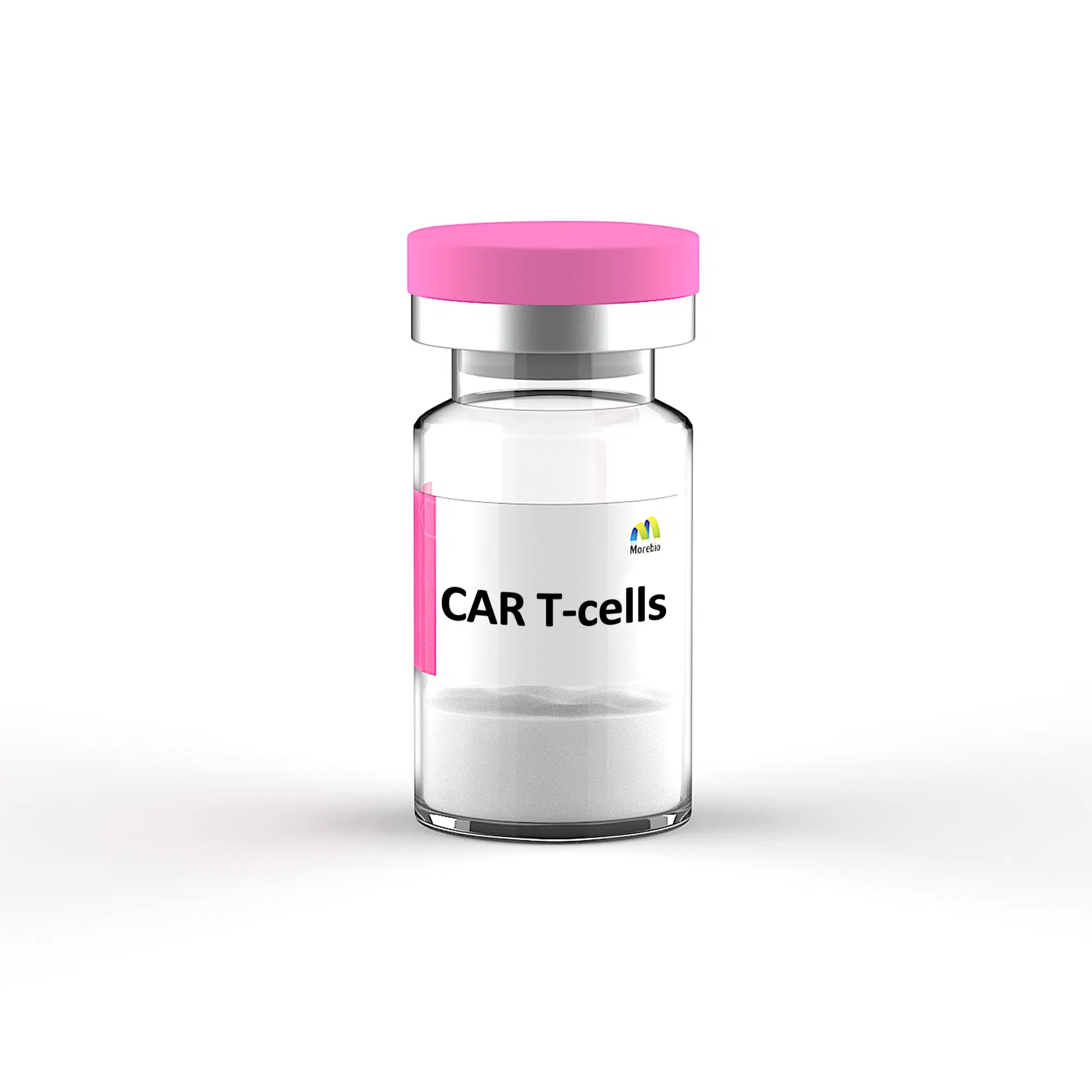 CAR T-cells