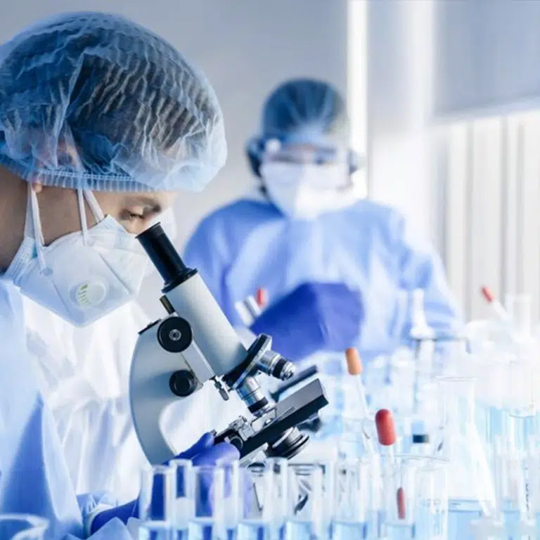 CDMO - Genetic Engineering - More Biotechnology